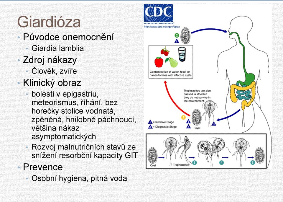 vodnatá, zpěněná, hnilobně páchnoucí, většina nákaz asymptomatických Rozvoj