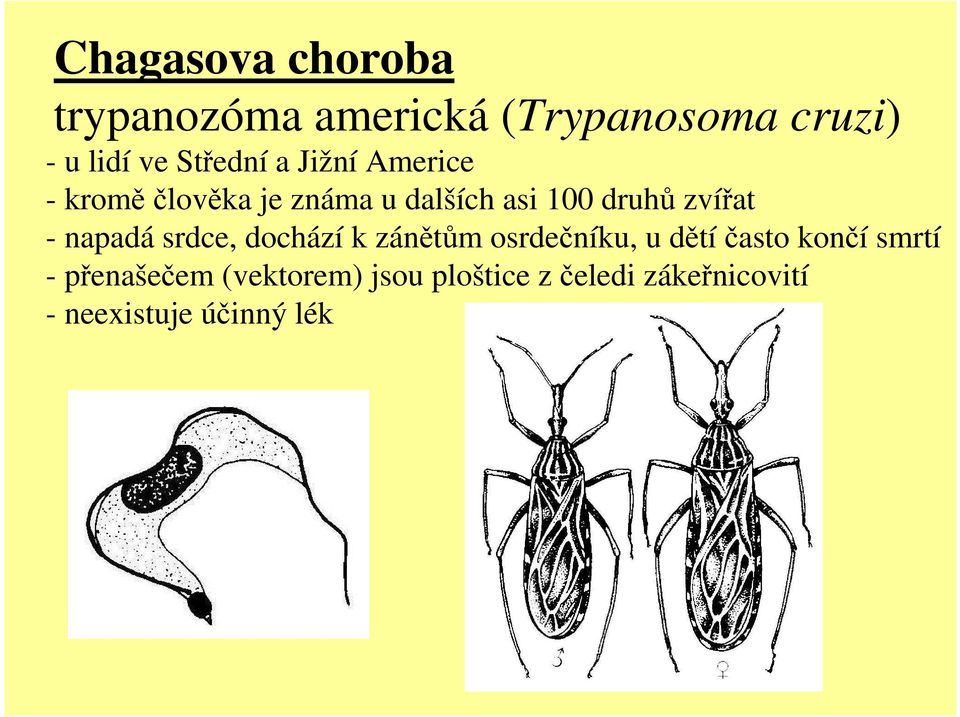 zvířat - napadá srdce, dochází k zánětům osrdečníku, u dětí často končí