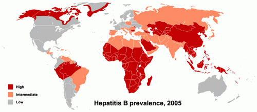 2. Hepatitida B Hepatitida B je chronický zánět jaterní tkáně způsobený infekcí virem hepatitidy B (HBV), který patří do rodu Hepadnaviridae.