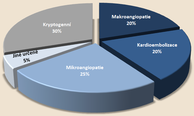 Ischemické CMP etiologie ani po pečlivém vyšetření se prokazatelná příčina nezjistí aterotrombóza velkých a středních tepen: - tromebembolie (artery to artery) - trombóza či krvácení do plátu v místě