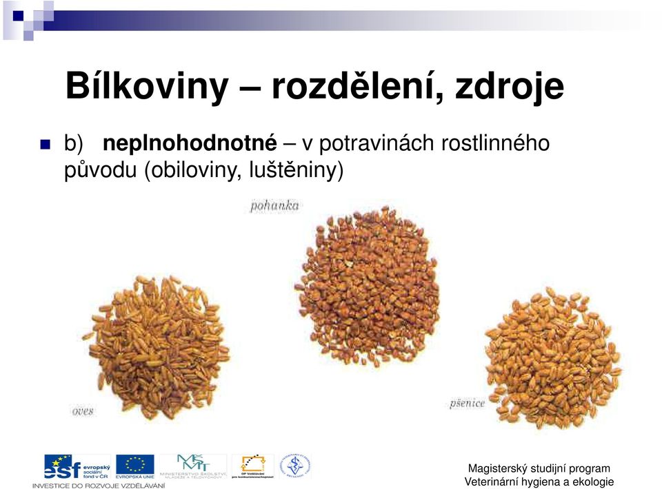 v potravinách rostlinného