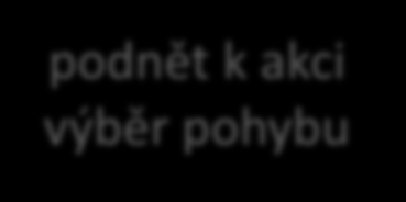 začátek pohybu thalamus primární motorická kůra (M1) vykonání pohybu mozkový