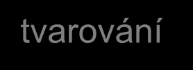 Technologické schéma výroby pálené hmoty Voda Sůl Olej stolní Mouka