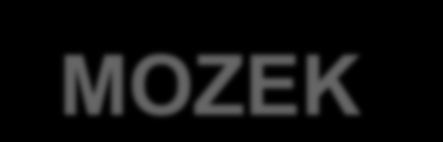 MOZEK