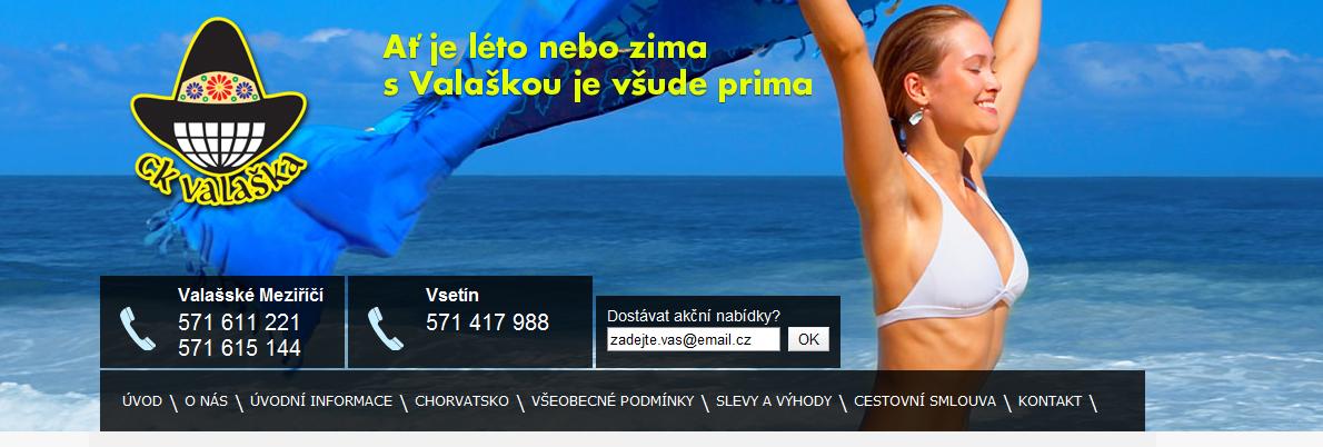 42 Praktická část Ministerstvo vypisovalo konkurz pro cestovní kanceláře po celé České republice. Cestovní kancelář, která vyhraje konkurz, přepraví poslance do Štrasburku. Valaška jako jediná uspěla.