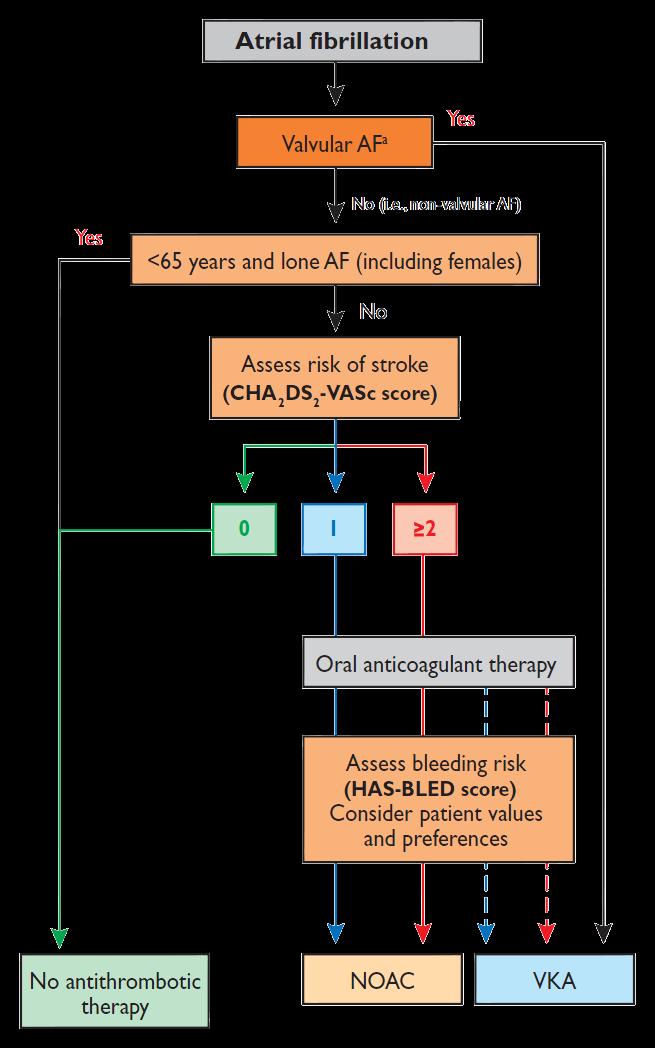 Indikace AK terapie a volba AK Antiplatelet therapy with aspirin plus clopidogrel, or less effectively aspirin only, should be considered in patients who refuse any OAC, or cannot tolerate