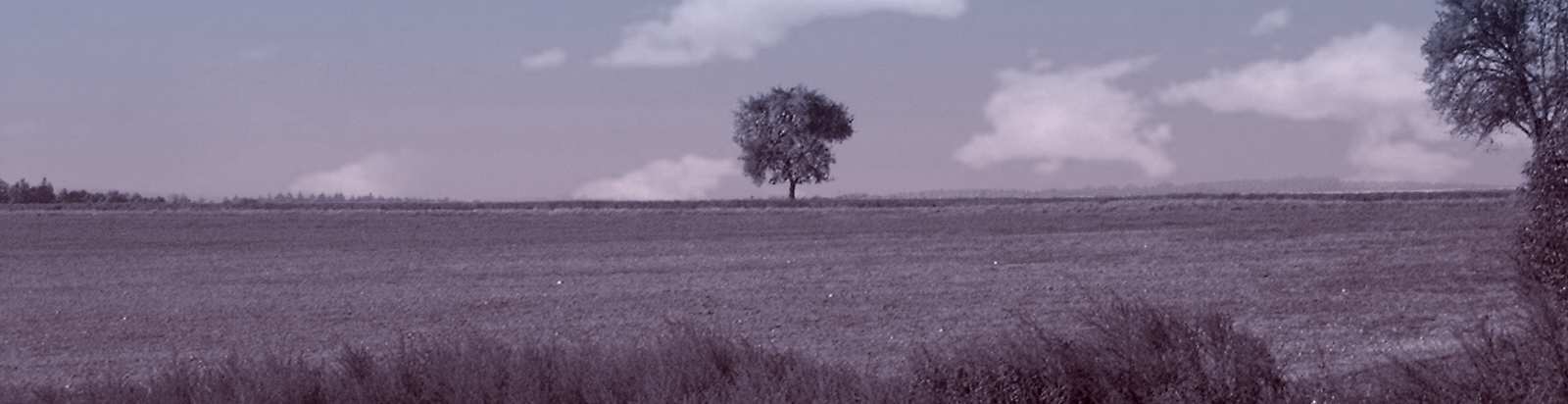 2008 Procesnířízení organizací veřejné správy