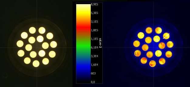 LED_4 - OSRAM DECOSPOT