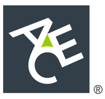 Pojistné podmínky pro pojištění profesní odpovědnosti v oblasti informačních technologií ACE European Group Ltd, organizační složka
