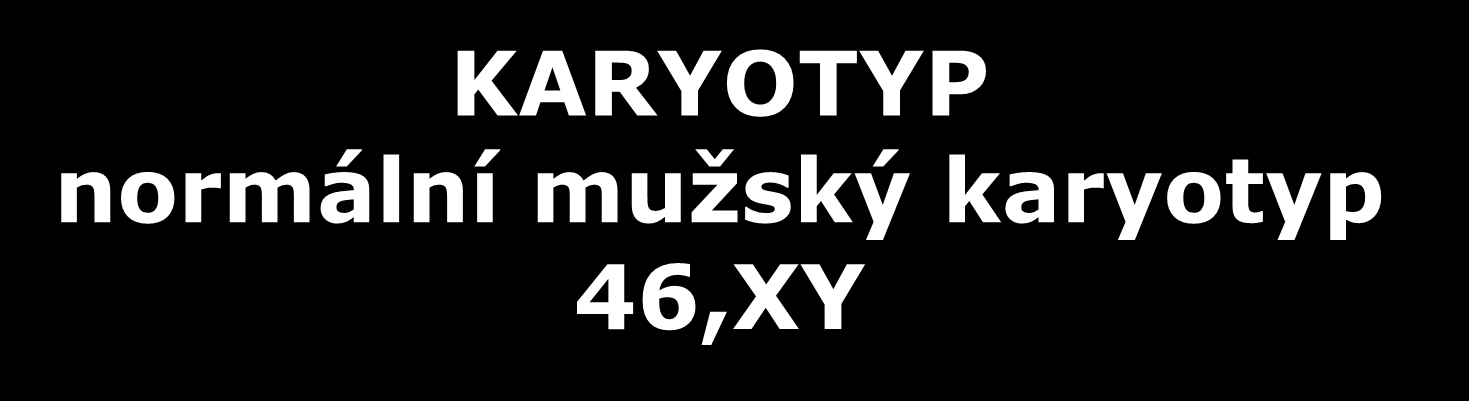 KARYOTYP normální mužský karyotyp