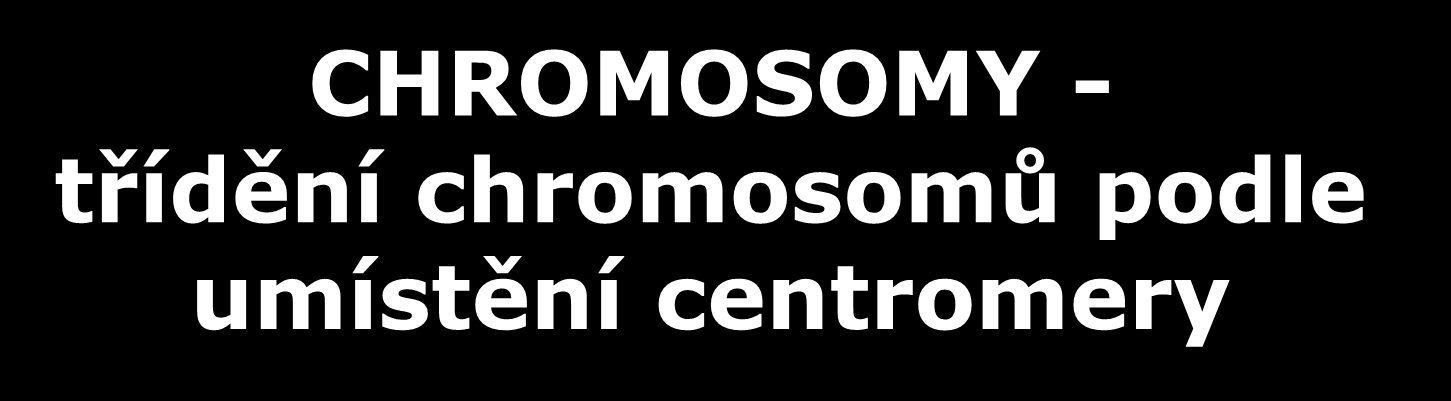 CHROMOSOMY - třídění chromosomů podle umístění centromery metacentrické chromosomy centromera téměř nebo úplně uprostřed, tedy krátká a dlouhá raménka jsou (téměř) stejně dlouhá