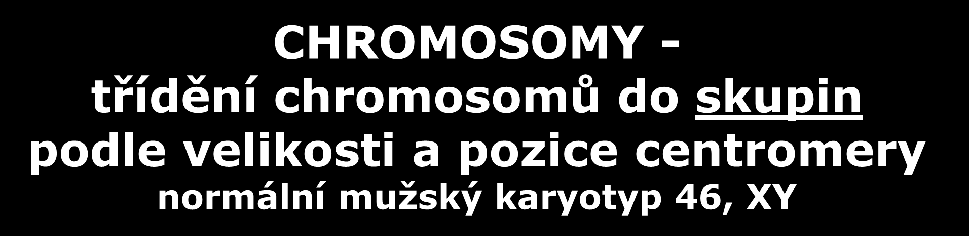 CHROMOSOMY - třídění chromosomů do skupin podle velikosti a pozice centromery normální mužský karyotyp 46, XY Pohlavní chromosomy: - chromosom X podle velikosti a polohy centromery lze zařadit do