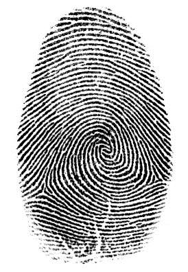 Peptidové PEPTIDOVÉ mapování MAPOVÁNÍ (Peptidový (PEPTIDE MASS fingerprinting) FINGRPRINT) MALDI-TOF MS Přesné Accurate hmotnosti mass of the peptidů peptides 2287.
