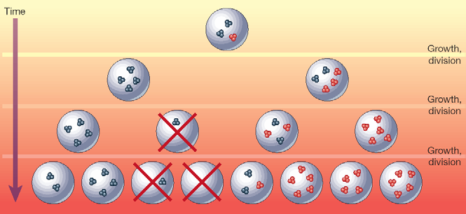 J. W. Szostak et al. Nature 409 (2001) 387390. 390.