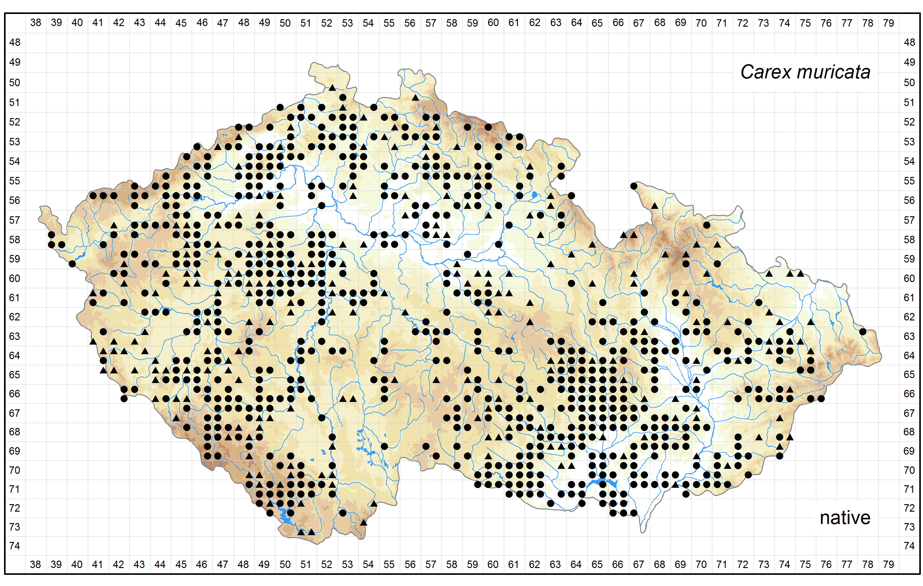 Distribution of Carex muricata in the Czech Republic Author of the map: Vít Grulich, Radomír Řepka Map produced on: 12-05-2016 Database records used for producing the distribution map of Carex