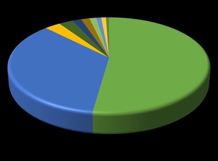 Německo Rusko Francie Slovensko Rakousko Velká Británie POČET ZAHRANIČNÍCH NÁVŠTĚVNÍKŮ TIC ROK 2015: 51 710 Slovensko; 1289; 3% Velká Británie; 759; 2% Rakousko; 772; 2% Francie; 1416; 3% Polsko;