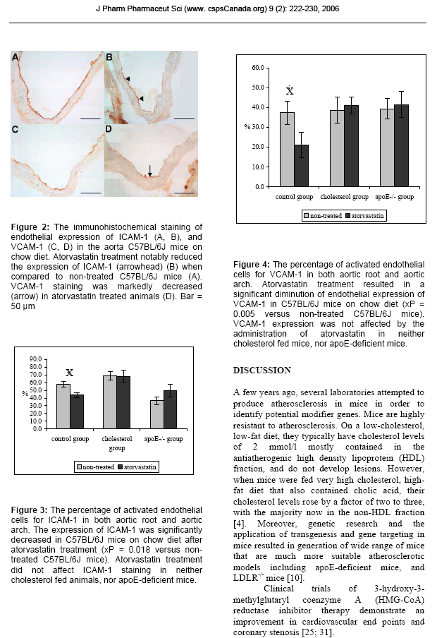 Atorvastatin has distinct effects on endothelial