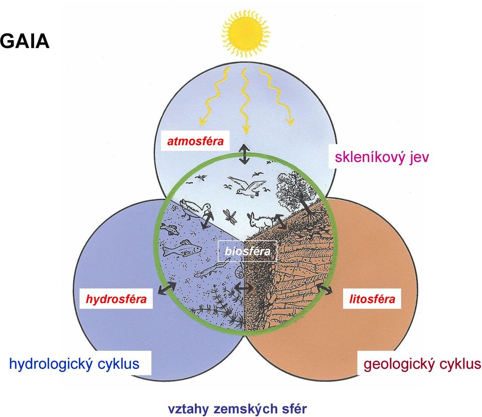 hydrologický cyklus