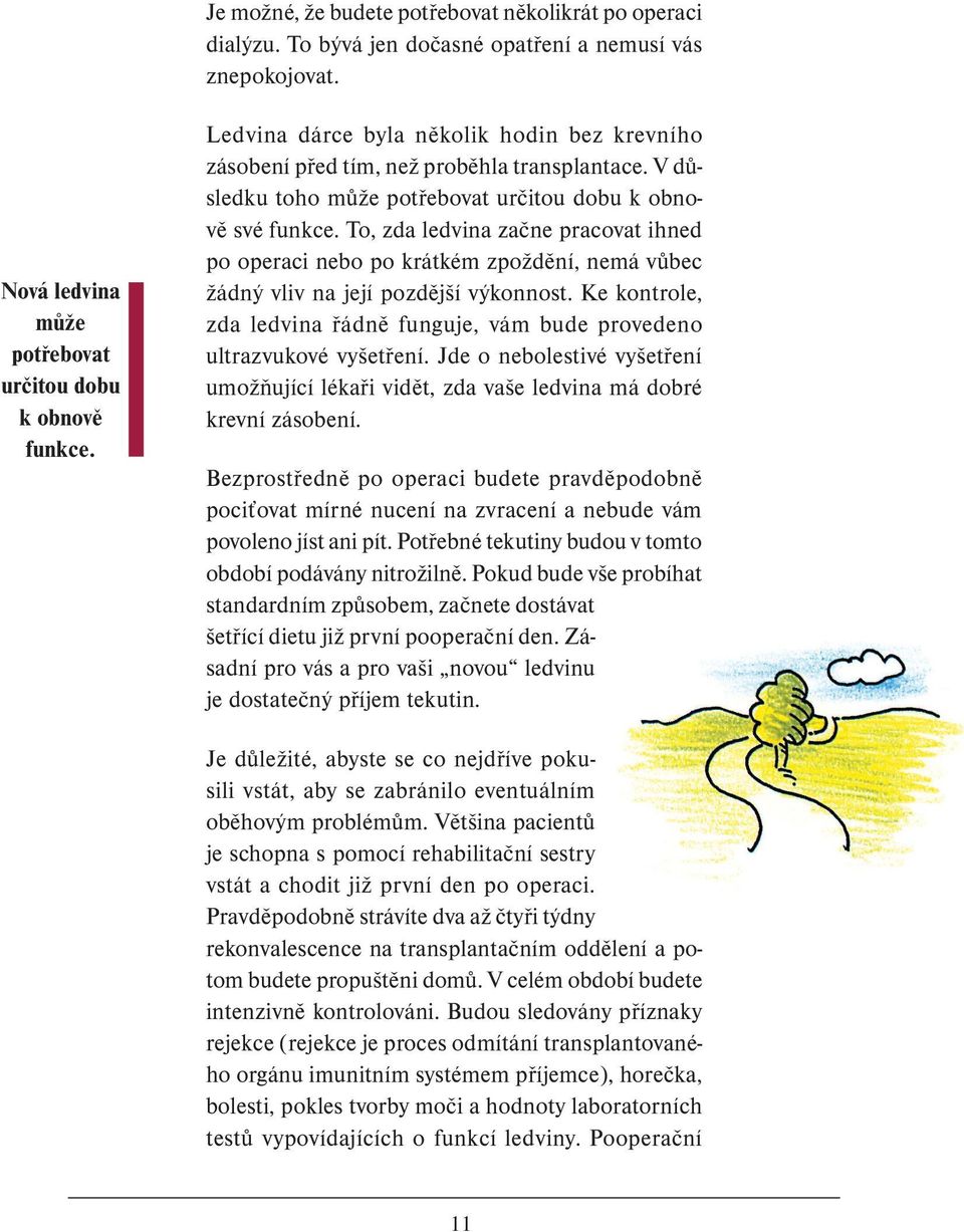 operaci nebo po krátkém zpoždění, nemá vůbec žádný vliv na její pozdější výkonnost Ke kontrole, zda ledvina řádně funguje, vám bude provedeno ultrazvukové vyšetření Jde o nebolestivé vyšetření