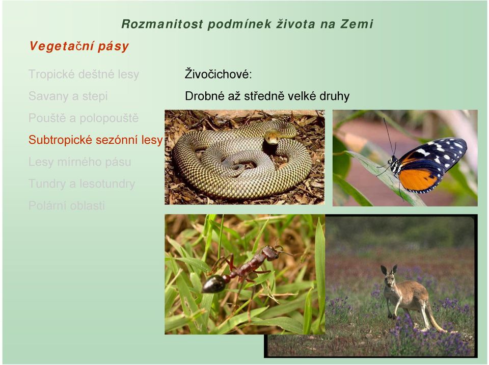 Rozmanitost podmínek života na Zemi Podnebné pásy - PDF Free Download