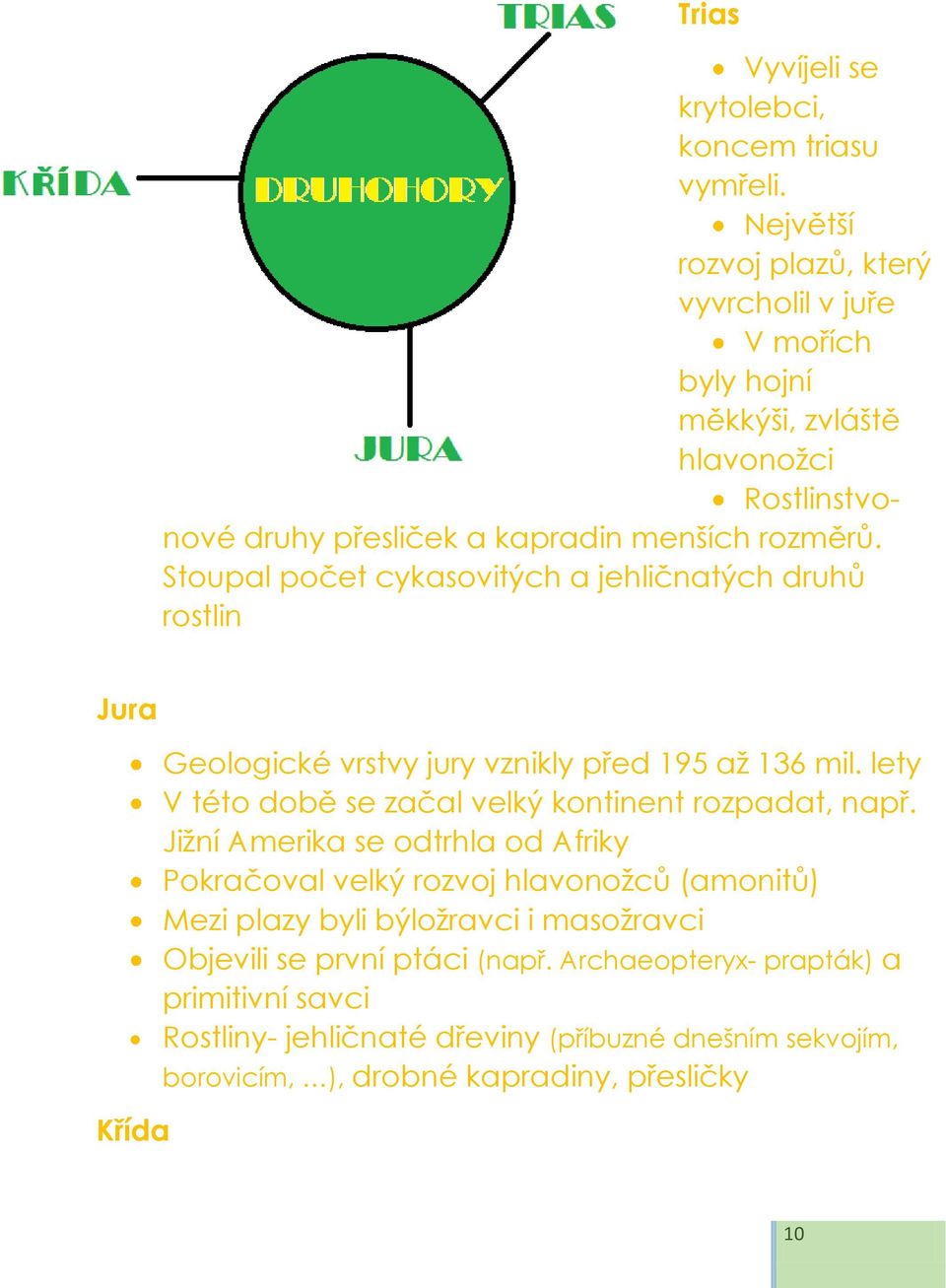 Stoupal počet cykasovitých a jehličnatých druhů rostlin Jura Křída Geologické vrstvy jury vznikly před 195 až 136 mil.