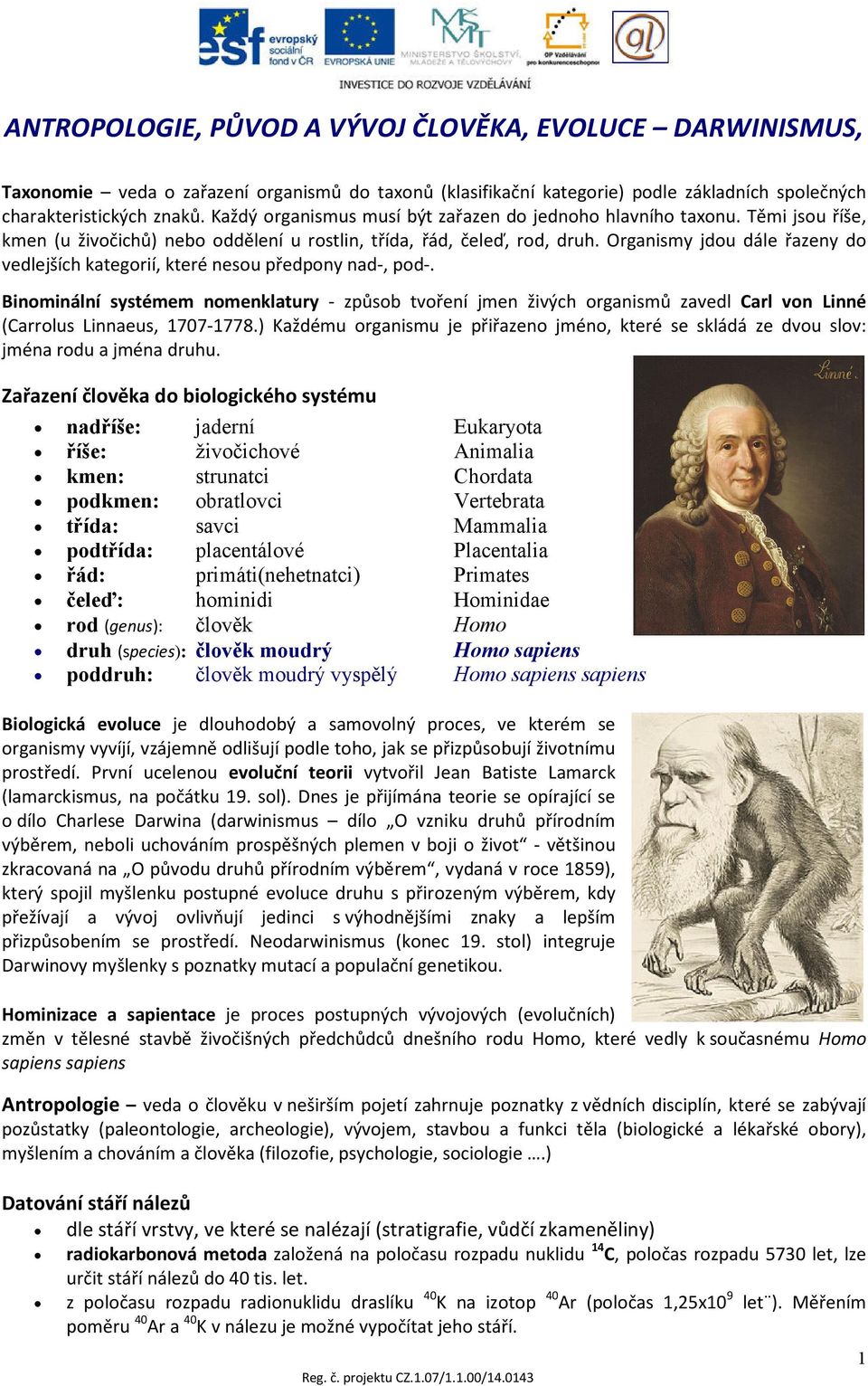 Organismy jdou dále řazeny do vedlejších kategorií, které nesou předpony nad-, pod-.