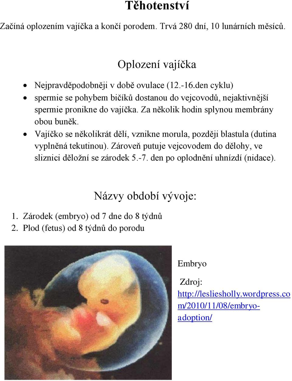 Vajíčko se několikrát dělí, vznikne morula, později blastula (dutina vyplněná tekutinou). Zároveň putuje vejcovodem do dělohy, ve sliznici děložní se zárodek 5.-7.