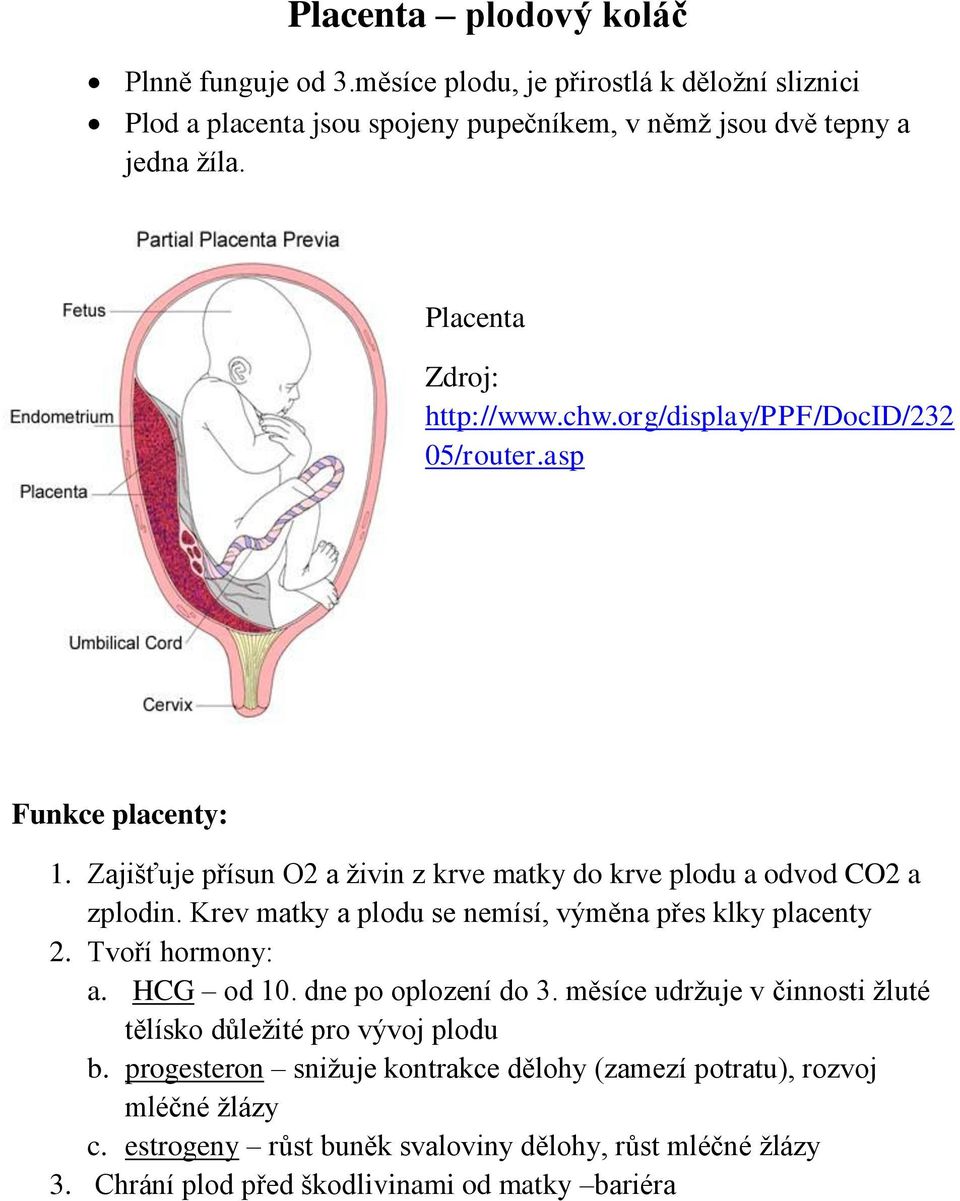 Krev matky a plodu se nemísí, výměna přes klky placenty 2. Tvoří hormony: a. HCG od 10. dne po oplození do 3.