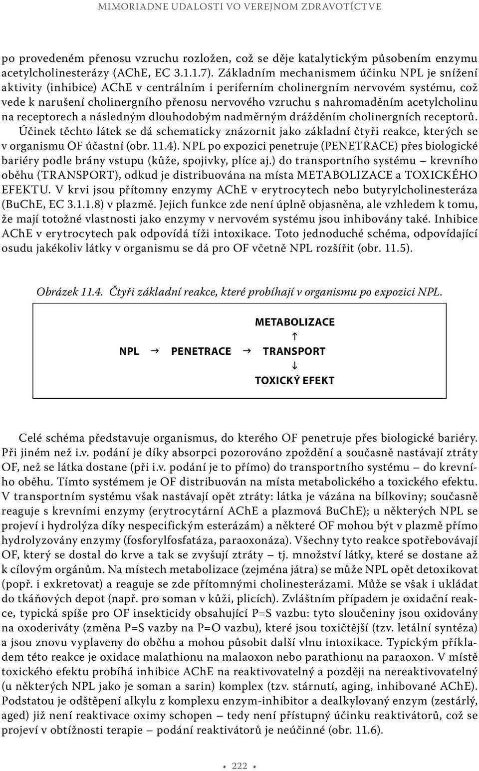 nahromaděním acetylcholinu na receptorech a následným dlouhodobým nadměrným drážděním cholinergních receptorů.