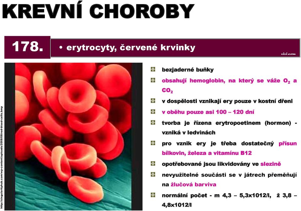 dřeni v oběhu pouze asi 100 120 dní tvorba je řízena erytropoetinem (hormon) - vzniká v ledvinách pro vznik ery je třeba dostatečný přísun