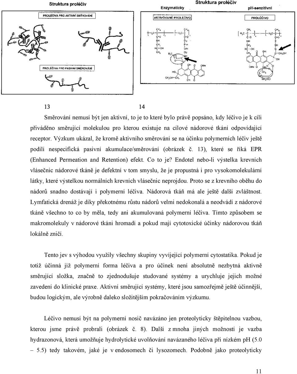 13), které se říká EPR (Enhanced Permeation and Retention) efekt. Co to je?