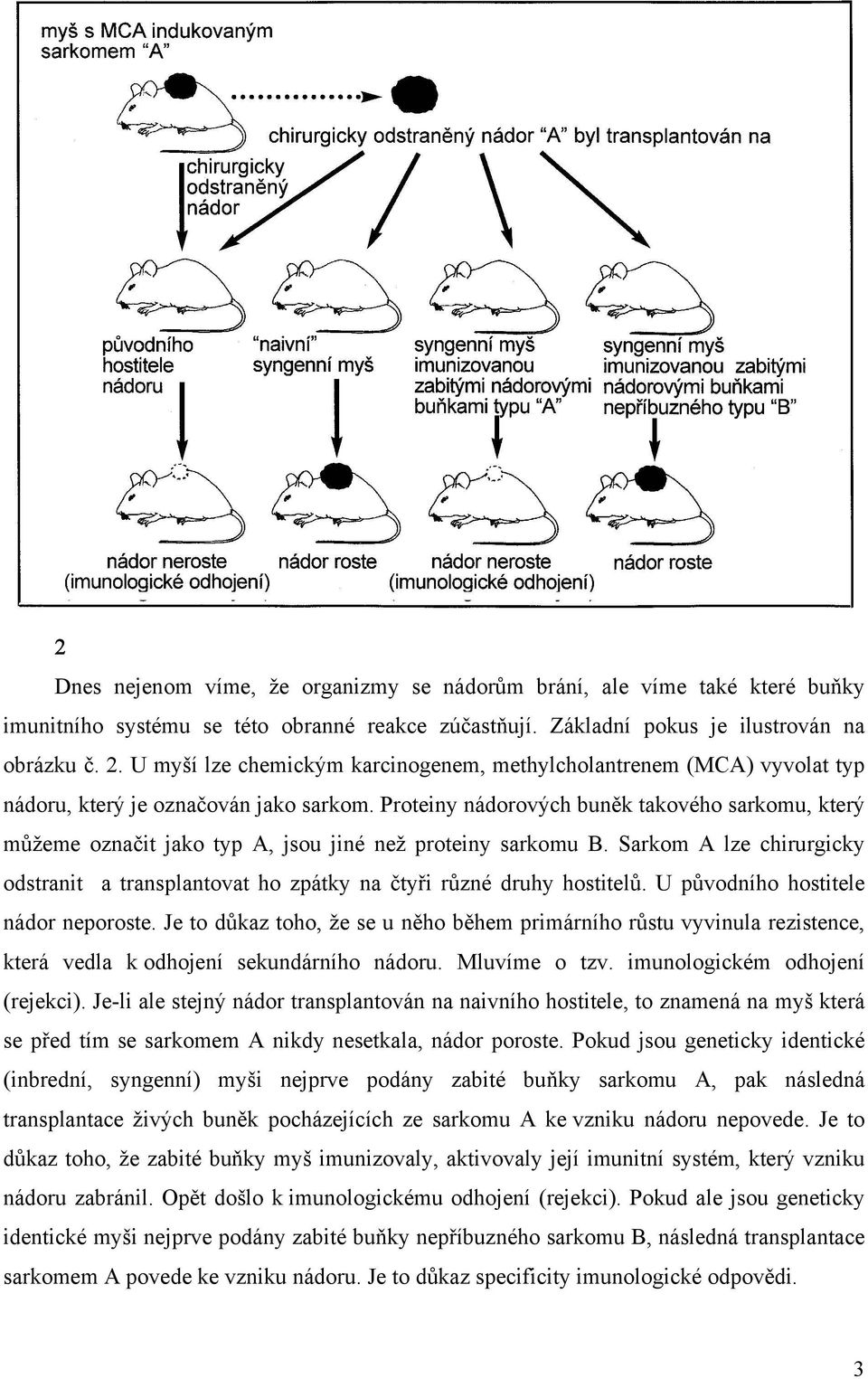 Proteiny nádorových buněk takového sarkomu, který můžeme označit jako typ A, jsou jiné než proteiny sarkomu B.