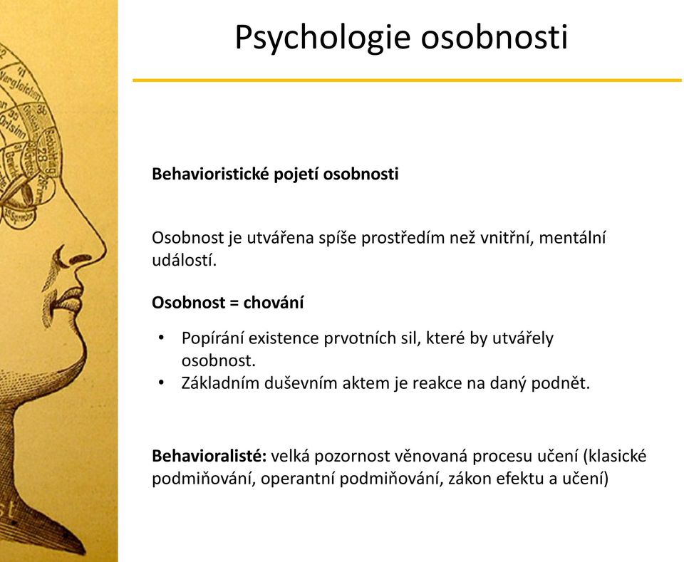 Osobnost = chování Popírání existence prvotních sil, které by utvářely osobnost.