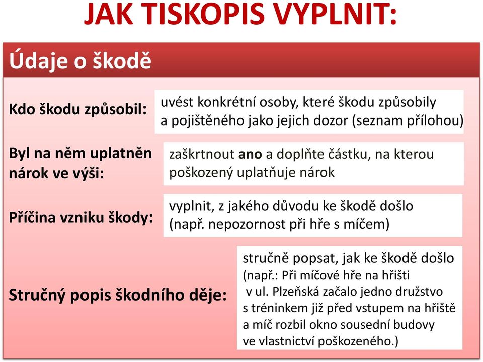 jakého důvodu ke škodě došlo (např. nepozornost při hře s míčem) Stručný popis škodního děje: stručně popsat, jak ke škodě došlo (např.