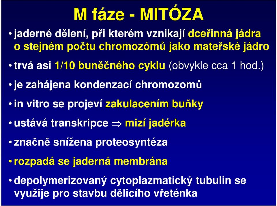 ) je zahájena kondenzací chromozomů in vitro se projeví zakulacením buňky ustává transkripce mizí