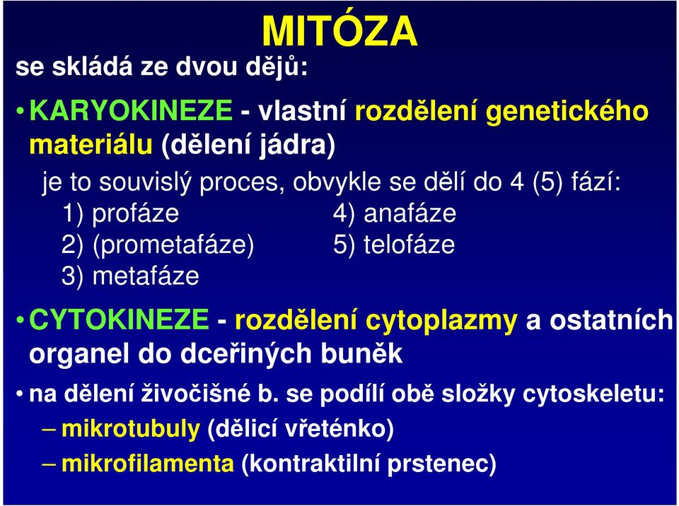 3) metafáze CYTOKINEZE - rozdělení cytoplazmy a ostatních organel do dceřiných buněk na dělení