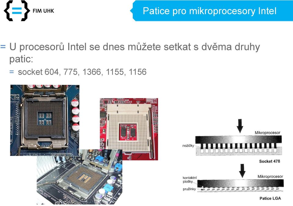 můžete setkat s dvěma druhy