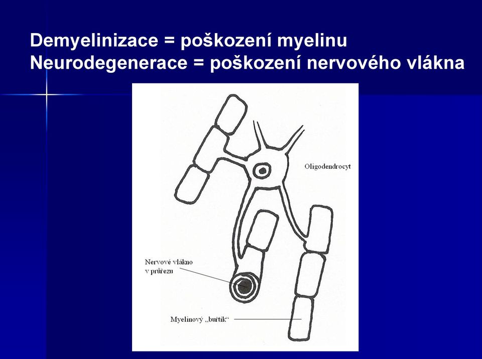 Neurodegenerace =