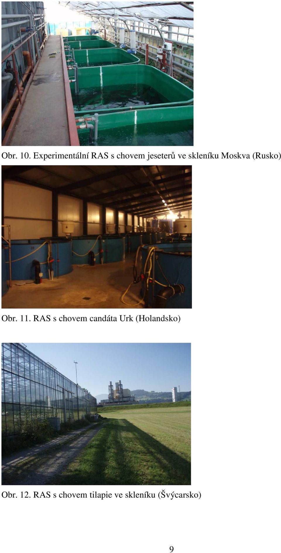 skleníku Moskva (Rusko) Obr. 11.
