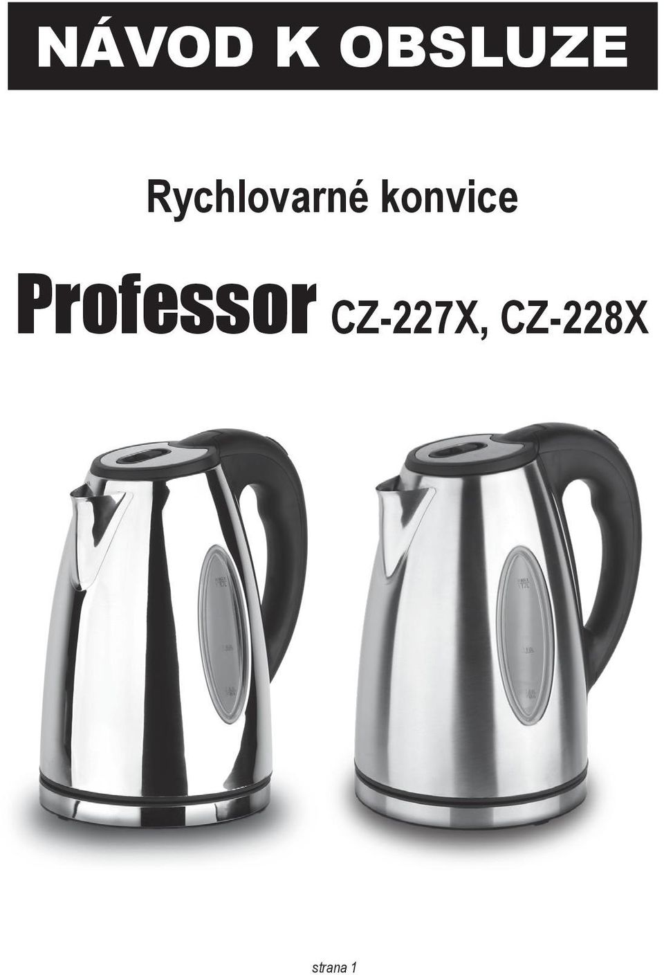 konvice Professor