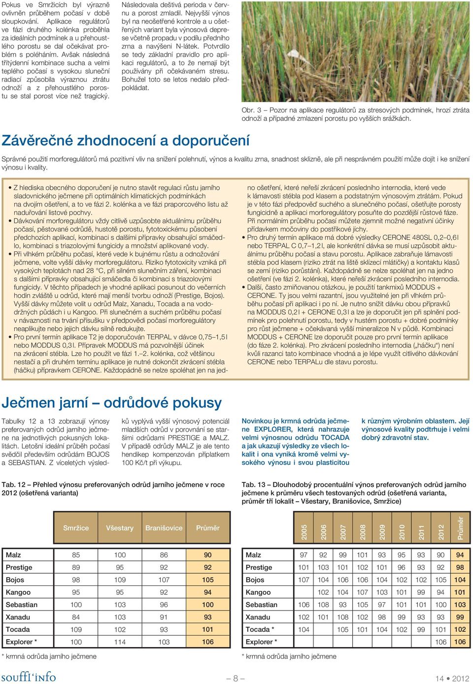 Avšak následná třítýdenní kombinace sucha a velmi teplého počasí s vysokou sluneční radiací způsobila výraznou ztrátu odnoží a z přehoustlého porostu se stal porost více než tragický.