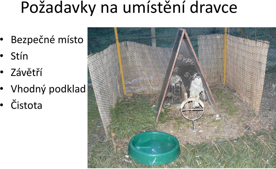 Bezpečné místo Stín