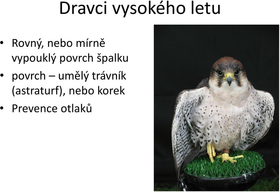 špalku povrch umělý trávník