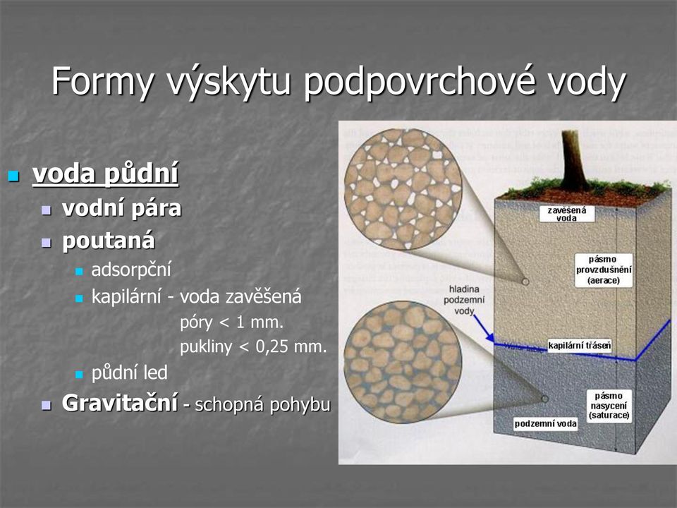 kapilární - voda zavěšená půdní led póry