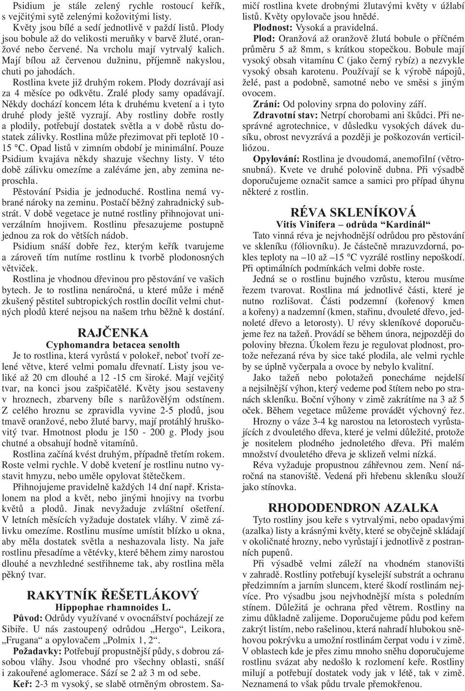 Rostlina kvete již druhým rokem. Plody dozrávají asi za 4 měsíce po odkvětu. Zralé plody samy opadávají. Někdy dochází koncem léta k druhému kvetení a i tyto druhé plody ještě vyzrají.