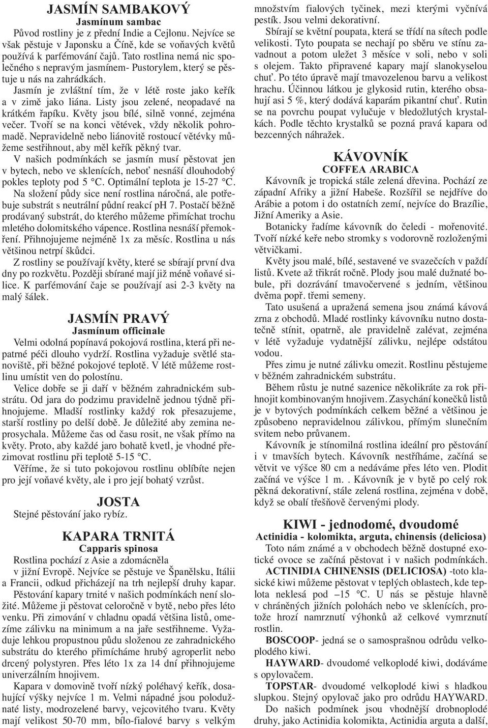 Listy jsou zelené, neopadavé na krátkém řapíku. Květy jsou bílé, silně vonné, zejména večer. Tvoří se na konci větévek, vždy několik pohromadě.