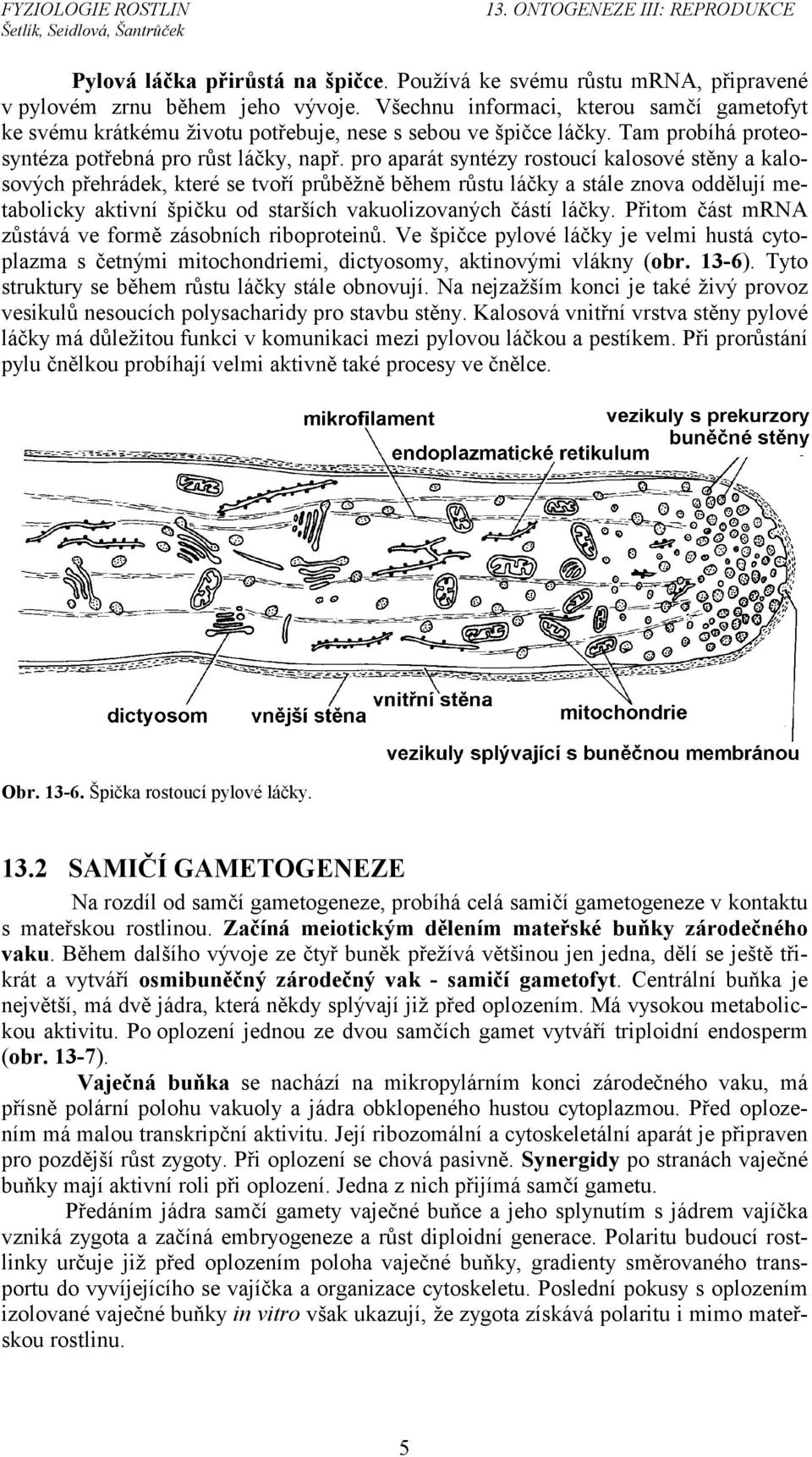 pro aparát syntézy rostoucí kalosové stěny a kalosových přehrádek, které se tvoří průběžně během růstu láčky a stále znova oddělují metabolicky aktivní špičku od starších vakuolizovaných částí láčky.