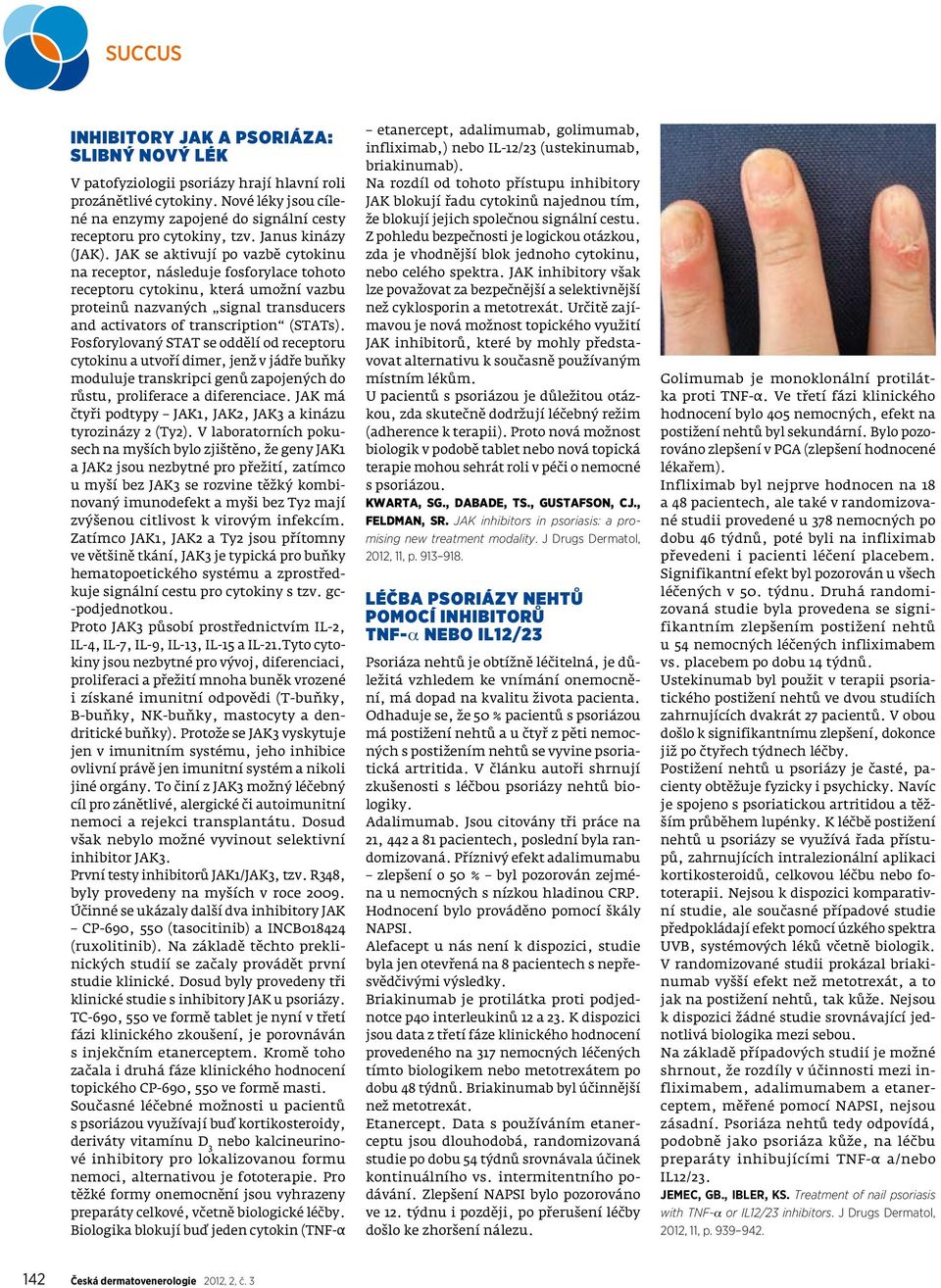 JAK se aktivují po vazbě cytokinu na receptor, následuje fosforylace tohoto receptoru cytokinu, která umožní vazbu proteinů nazvaných signal transducers and activators of transcription (STATs).