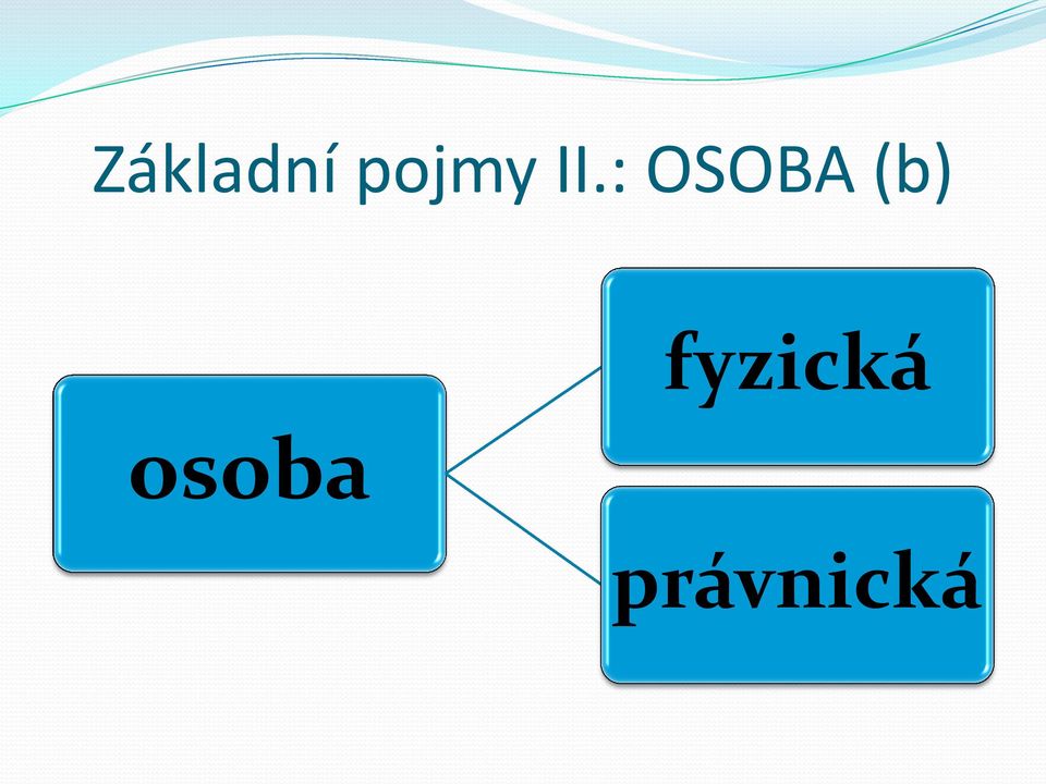 : OSOBA (b)