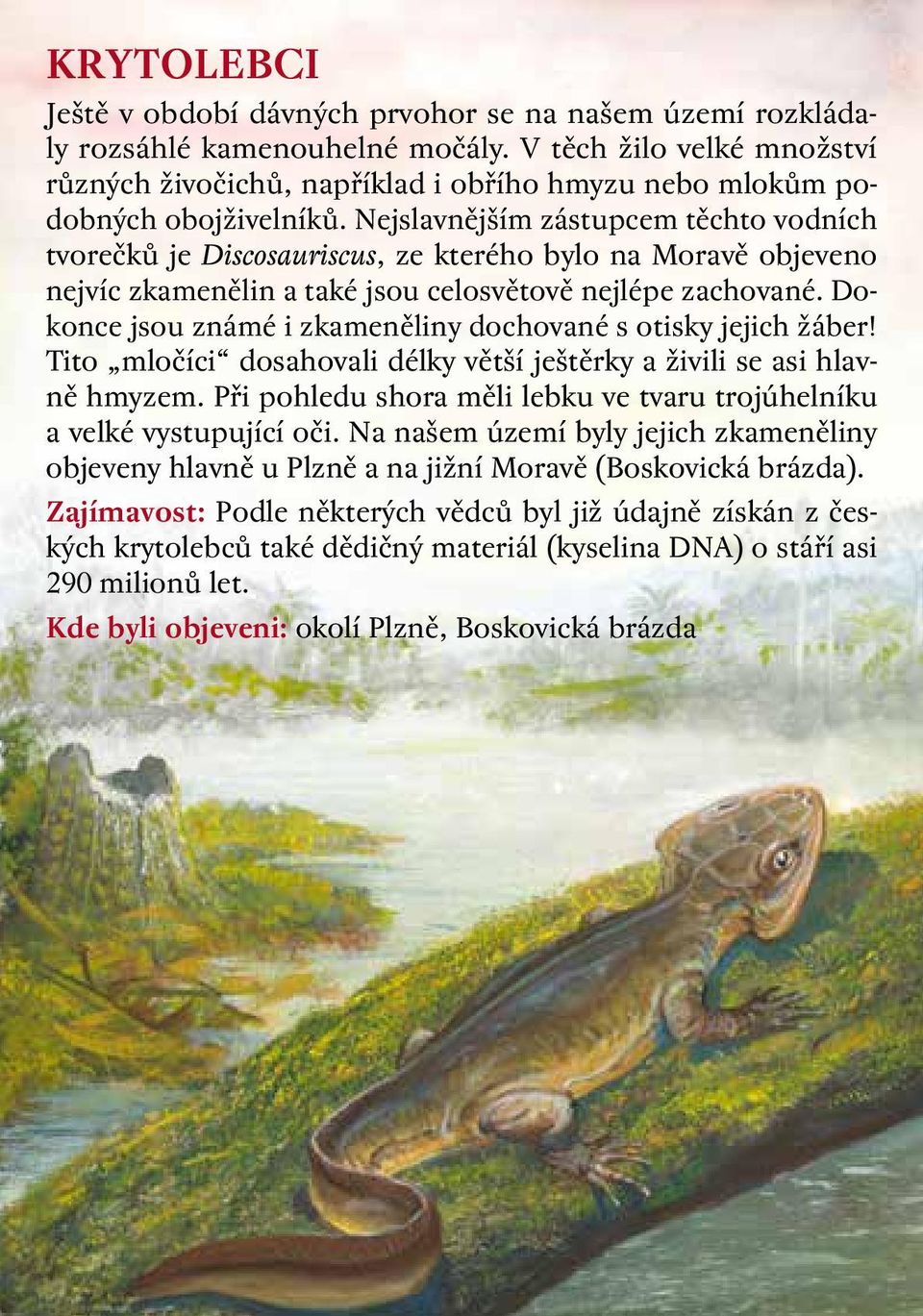 Nejslavnějším zástupcem těchto vodních tvorečků je Discosauriscus, ze kterého bylo na Moravě objeveno nejvíc zkamenělin a také jsou celosvětově nejlépe zachované.